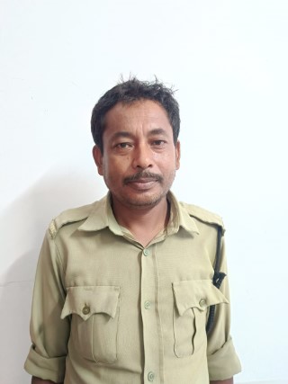 Gruad